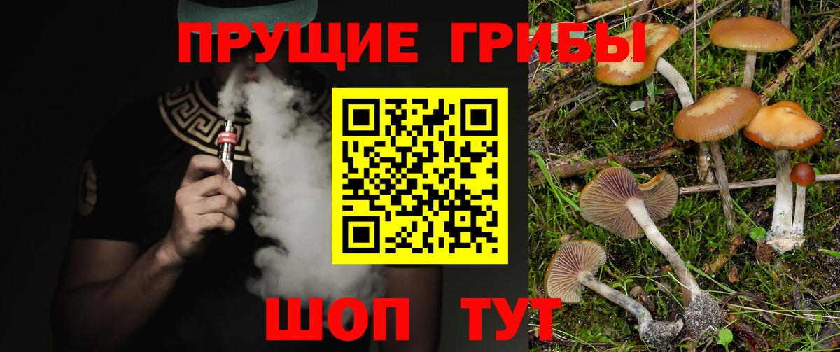 Кирово-Чепецк  Галлюциногенные грибы мицелий  Вход с VPN 